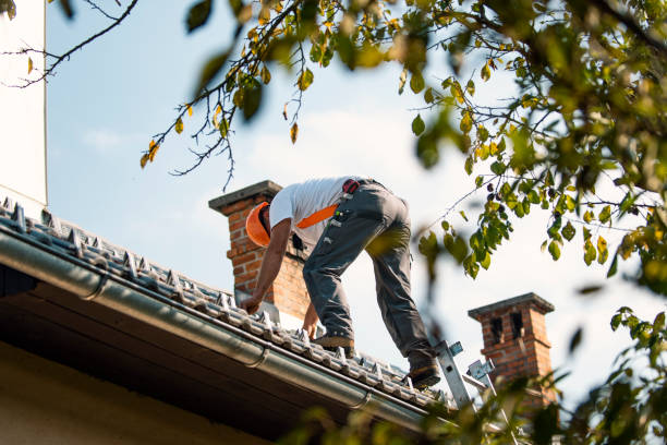 Best Roof Gutter Cleaning  in Las Quintas Fronterizas, TX
