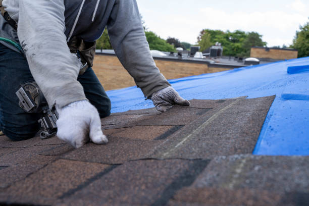 Quick and Trustworthy Emergency Roof Repair Services in Las Quintas Fronterizas, TX
